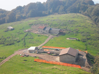 agricolo